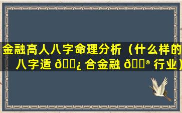 金融高人八字命理分析（什么样的八字适 🌿 合金融 💮 行业）